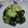 はぴぷれ's cooksnap of when they made すだち入り酢の物.