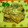 菊二朗's cooksnap of when they made 秋刀魚のこってり焼き。.