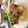 苦楽園マダム's cooksnap of when they made 無花果のごま和え～料亭風.