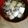 バルコリン's cooksnap of when they made あっさり美味しい！いものこ汁.