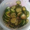 はちゅぴよママ's cooksnap of when they made ごま油香るしゃきしゃききゅうり.