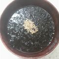 サーフブレイド's cooksnap of when they made 磯の香りがたまらん～海苔のお吸い物～.