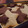 nepi's cooksnap of when they made サクサクちょっと大人のクッキー.