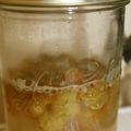 ニンコム's cooksnap of when they made 巨峰天然酵母（液種）.