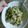 Mana48's cooksnap of when they made ゴーヤとツナのサラダ♪.