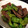 marumaro12's cooksnap of when they made ししとうとこんにゃくのピリ辛炒め.