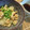 ルリナ's cooksnap of when they made 鶏皮のゴマポンみぞれ和え.