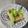 野菜大好きミーバ☆'s cooksnap of when they made 春の味♡祝蕾(しゅくらい)ベーコンソテー.