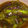 ｸｯｸﾊﾟﾝﾃﾞｨｰ's cooksnap of when they made ゴマ油でナスの揚げ浸し.