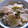 hallemama's cooksnap of when they made 大根と小松菜の炒め煮.