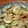 QPはにー's cooksnap of when they made きゅうりと豚肉のさっぱり炒め.