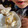 まわりてめくるん's cooksnap of when they made コーンとしらすの炊き込みご飯.