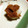 ちぃ0524's cooksnap of when they made くるみがおいしい！我が家のおはぎ　５種.