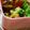 Natsutach's cooksnap of when they made とろ～り♪ニラ玉☆.