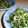 kurukurumin's cooksnap of when they made 塩こんぶdeサラダ.