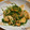 すーぷち's cooksnap of when they made 簡単！＊鶏胸肉と豆苗のガリバタしょうゆ＊.