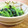 矢切のねぎちゃん's cooksnap of when they made 塩麹で！ほうれん草のゴマ和え.