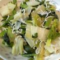 しょうくんママ's cooksnap of when they made 簡単塩分控えめヘルシー白菜シラス♪.