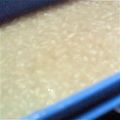 たんたん　's cooksnap of when they made ♪塩麹の作り方♪.