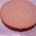 hacochin's cooksnap of when they made 絶対に失敗ナシ！基本のスポンジ.