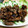 emi75615's cooksnap of when they made 簡単！牛肉の竜田揚げ★.