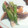 さち224236's cooksnap of when they made 激うま！さごしのソテードレッシングソース.