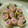 ＊パンちゃん＊'s cooksnap of when they made ❇運動会のお弁当❇2012～.