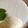 くらころ's cooksnap of when they made ふわぷり❉マンゴーヨーグルトムース❉.
