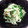 kinaapy's cooksnap of when they made きのこと三つ葉のおひたし.