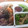 sala0816's cooksnap of when they made エリンギとピーマンのカレーマヨ炒め.