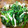 blue mint's cooksnap of when they made ほうれん草としめじのゴマ和え.