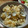 とちマメ's cooksnap of when they made あさりの炊き込みご飯♫♬.