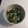 クックVNZV99☆'s cooksnap of when they made わかめとオクラのごま油和え.