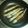☆ﾗﾝﾎﾞ☆'s cooksnap of when they made ししゃもの塩胡椒炒り胡麻焼き.