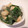 tomokoshiawase's cooksnap of when they made ☆ニラとエビのオイマヨ炒め☆.