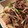 クック☆やーっ！'s cooksnap of when they made 牛肉ともやしのオイスターソース炒め.