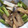 なっ2−'s cooksnap of when they made アスパラとエリンギのバター醤油炒め.