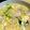 ありまちとも's cooksnap of when they made 簡単白だし鶏うどん.
