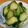 ねのび's cooksnap of when they made キュウリの中華風漬けもの(塩麹入り).