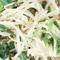ひなひびももしょう's cooksnap of when they made もやしとレタスのサラダ.
