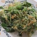 きらり流れ星's cooksnap of when they made 豆苗の塩麹ピリ辛炒め.