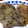 maru3030's cooksnap of when they made 簡単に作ろう！大根もち.