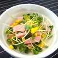 tocchilove's cooksnap of when they made 味付けいらず☆カイワレとハムのおつまみ.