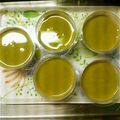 さっちゃん5106's cooksnap of when they made 豆乳プリン.
