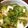 mugi66's cooksnap of when they made 苦くない！ゴーヤの煮浸し.