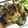 さりりりん's cooksnap of when they made ✳︎秋刀魚の蒲焼き✳︎.