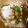 marilin36's cooksnap of when they made 九陽　豆乳から作る「手作り豆腐」.