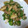 みづふぃー's cooksnap of when they made 簡単しいたけピーマン炒め.