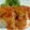 ローリエ♪'s cooksnap of when they made チキントマトクリーム煮込みライス♪.