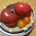 ayayahoney's cooksnap of when they made 青いトマトを赤くする方法.